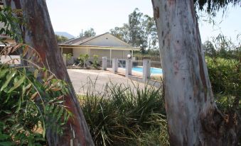 Isis Motel Scone