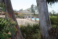 Isis Motel Scone
