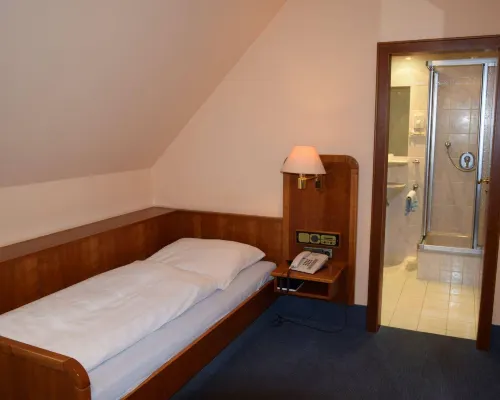 Hotel Grüner Baum Hotels in Naila