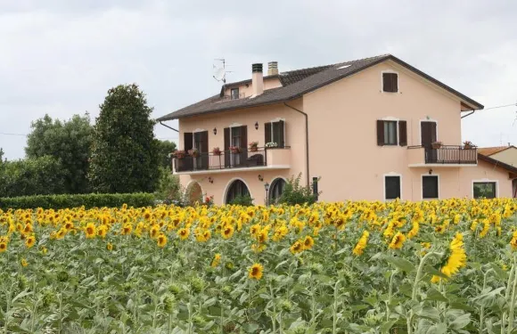 阿西西玫瑰民宿