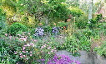 Mount Hobson Apartments