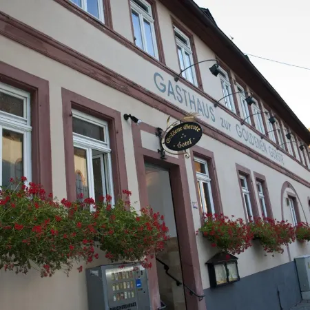 Hotel Goldene Gerste Отели рядом с достопримечательностью «Харнхайм»