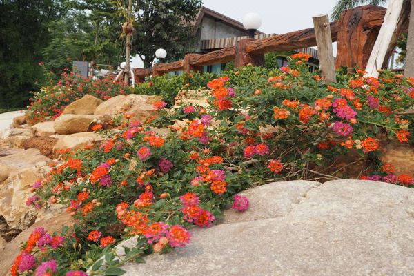 The Canal Garden Resort(เดอะ คาแนล การ์เดน รีสอร์ท)_1