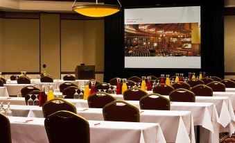 a conference room set up for a meeting , with chairs arranged in rows and a projector on the wall at Ameristar Casino Hotel Council Bluffs