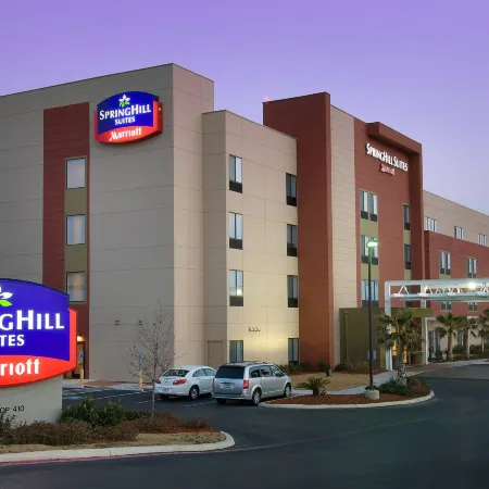 SpringHill Suites San Antonio Airport Отели рядом с достопримечательностью «Художественный музей Макней»