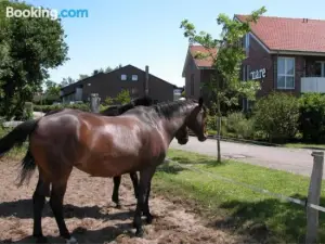 Suiten-Hotel Mare Langeoog