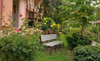 Bougainvillea Apartments