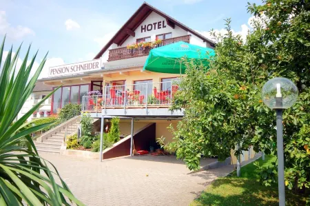 Hotel SCHNEIDER Отели в г. Хайдек