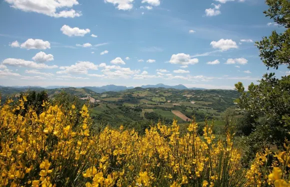 曼西尼裏阿爾貝古酒店及餐廳
