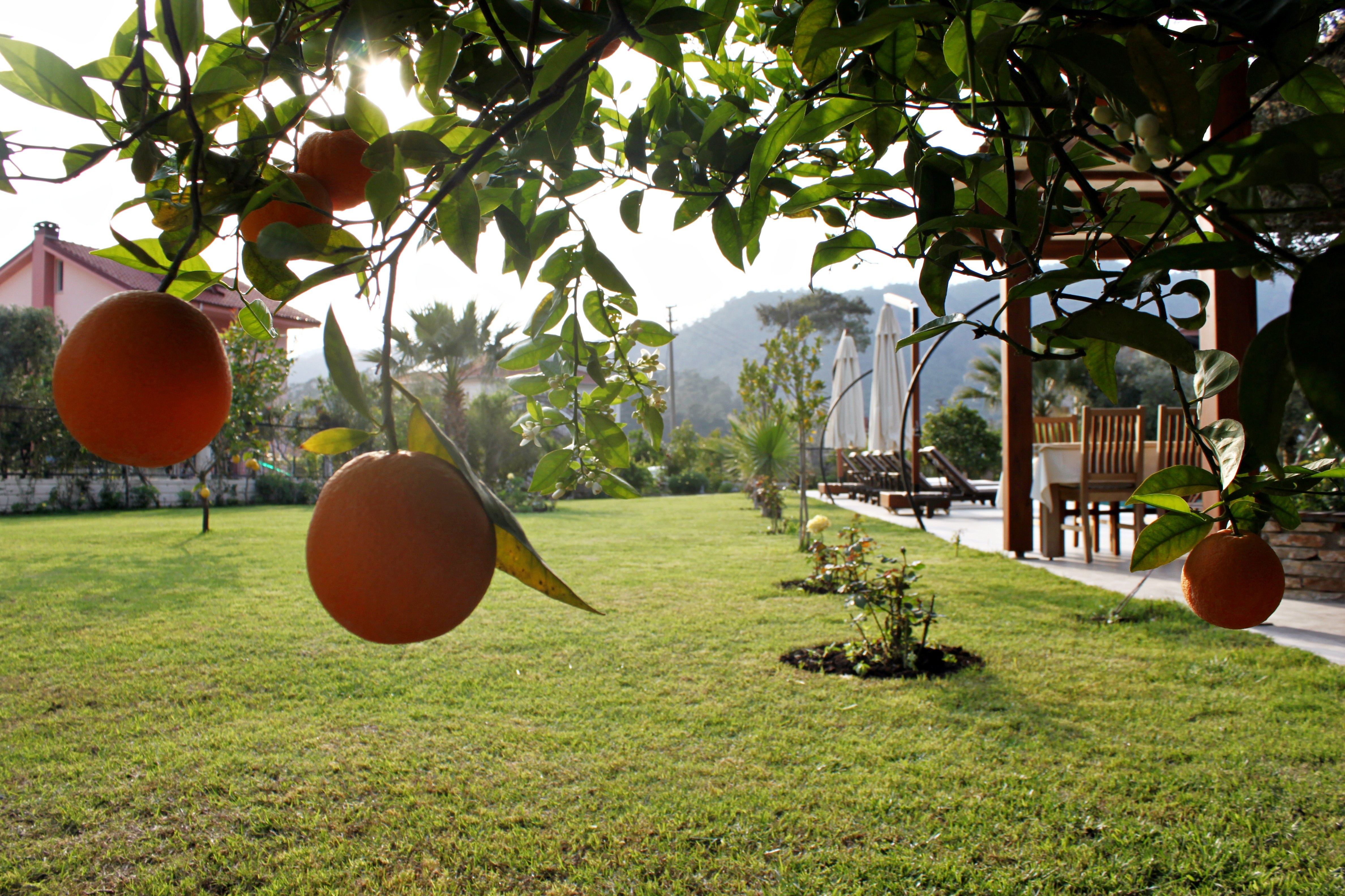 Göcek Arion Hotel (Gocek Arion Hotel)