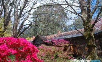 Magnolia Retreat - Rocky Creek Art Garden