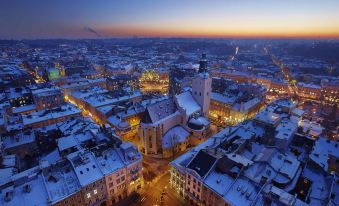 Ibis Styles Lviv Center