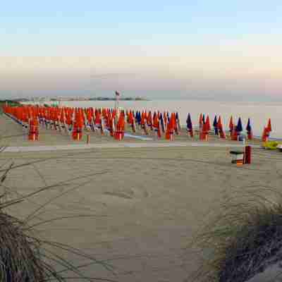 Camping Le Dune Others