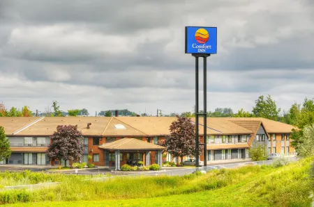 Comfort Inn Отели рядом с достопримечательностью «Орора Коммьюнити Арборетум»