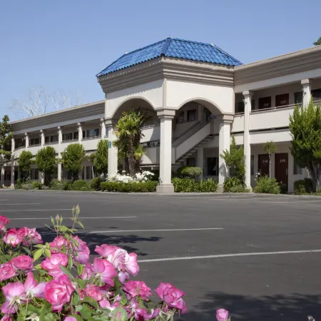 Best Western Plus Black Oak