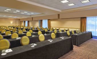 a conference room with rows of chairs arranged in a semicircle , and a table in the middle at Sheraton Suites Chicago Elk Grove
