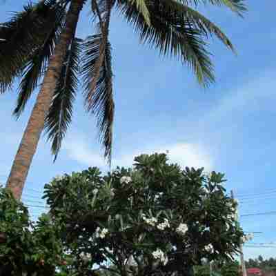 ปานวิมานอัมพวา ริเวอร์ไซด์รีสอร์ท Hotel Exterior