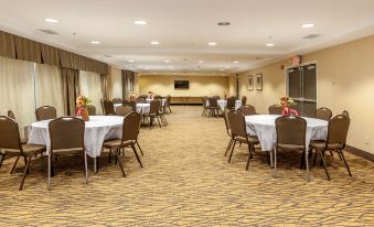 Country Inn & Suites by Radisson, Alpharetta, GA