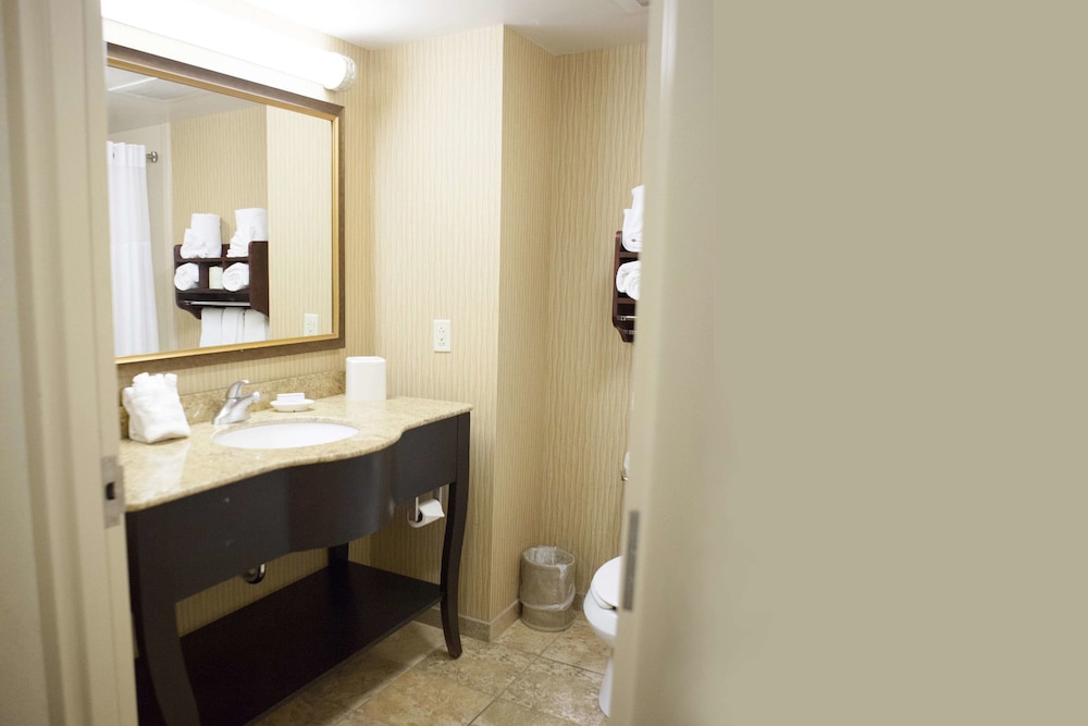 Hampton Inn Rochester-Webster