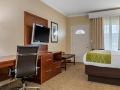 comfort-suites-central
