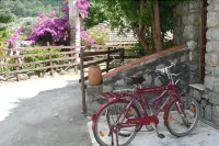 SULTAN PALAS HOTEL Hoteles en 