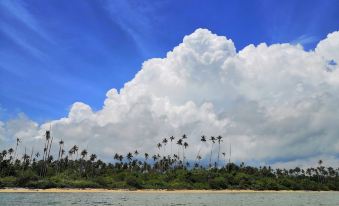 Tambisan Island Lodge