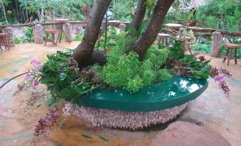 a green plant growing in a pot , surrounded by rocks and other plants , in a garden setting at Bantayan Island Nature Park and Resort