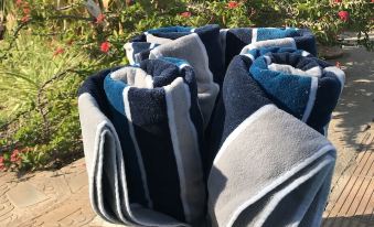 Bush Pillow Guest House