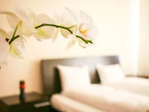 The Lodge Hotel