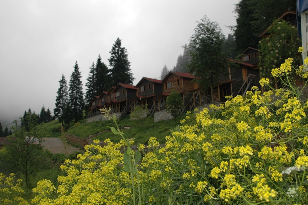 Zitas Otel Zigana Yayla Tatil Koyu