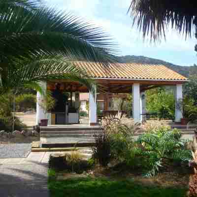 Hotel Boutique Solaz Bella Vista de Colchagua Hotel Exterior
