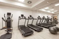 Clarion Grandhotel Zlaty Lev - gimnasio
