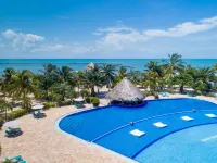 The Placencia