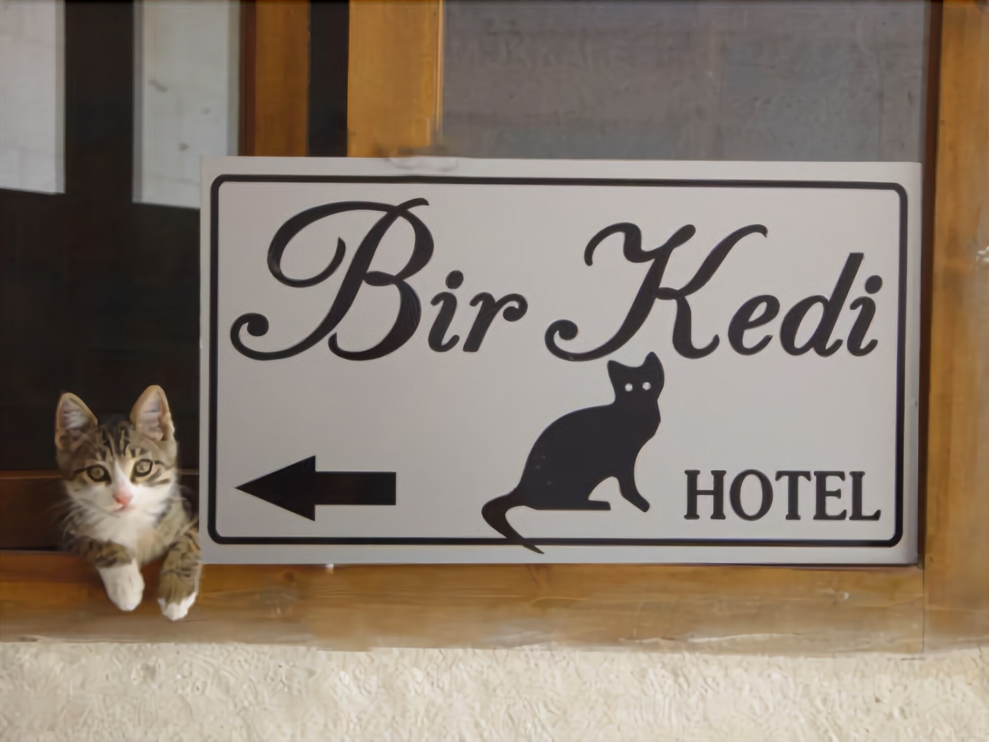 Bir Kedi Villa Guesthouse