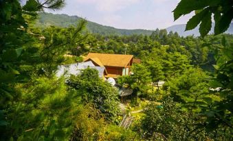 Hoengseong Log House Pension