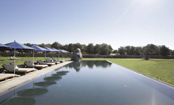 a large outdoor pool surrounded by lush greenery , with several lounge chairs placed around it at Sao Lourenco do Barrocal