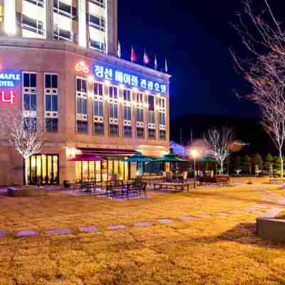 메이플 관광호텔 Hotel Exterior