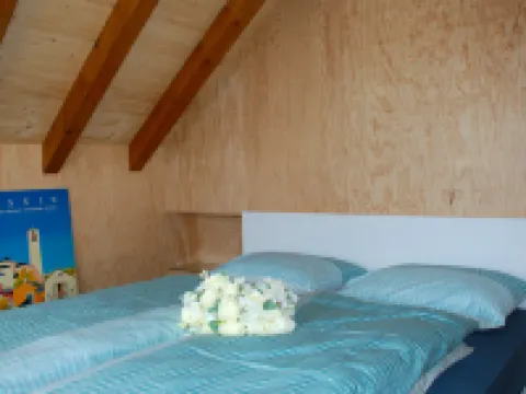 Rossella Hotels in Minusio