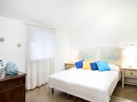 Bougainvillae Bilo - 2-Star
