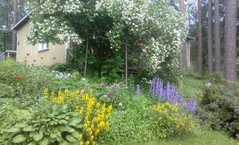 a beautiful garden with a variety of flowers and plants , including white flowers and purple flowers at Simola