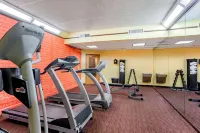 La Quinta Inn & Suites by Wyndham Raleigh/Durham Southpoint - Gym