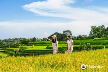 Bali Jungle Camping by Amerta Experience Отели рядом с достопримечательностью «Бали»