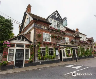 The Castle Inn Hotel Hotels in Steyning