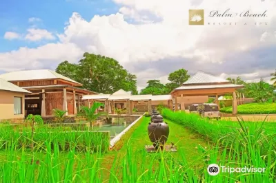パーム ビーチ リゾート ＆ スパ のホテル