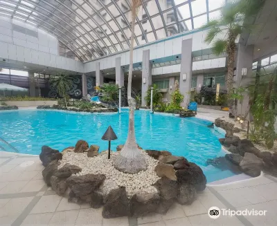 Hotel Zuiho Hotels in 