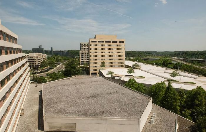 Hilton McLean Tysons Corner