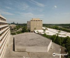 Hilton McLean Tysons Corner