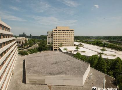 Hilton McLean Tysons Corner