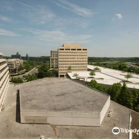 Hilton McLean Tysons Corner