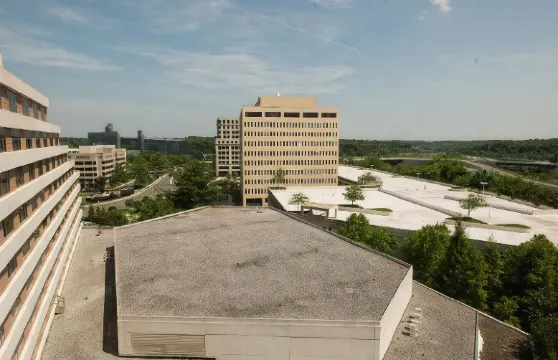 麥克萊恩泰森斯科納希爾頓酒店